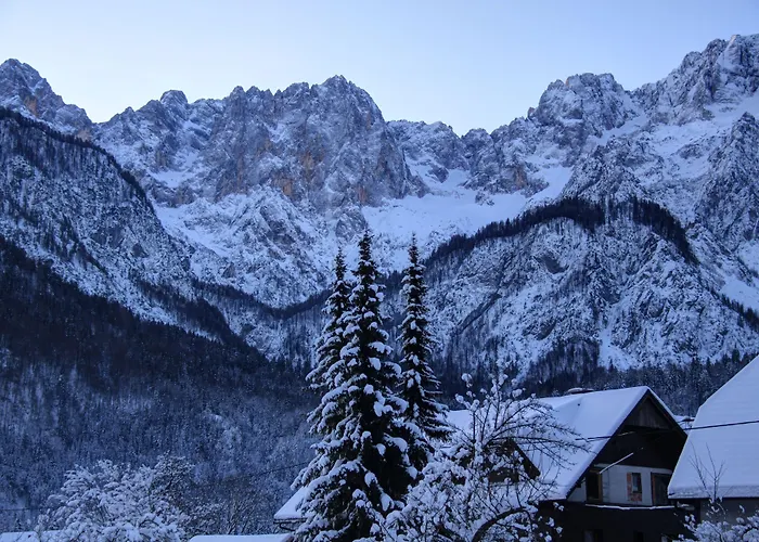 Apartments In Villa Flora Διαμέρισμα Kranjska Gora
